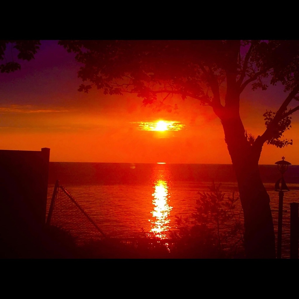 Meet your Posher, Katina